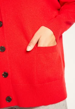 Montagut Cashmere buttoned vest - Ariel