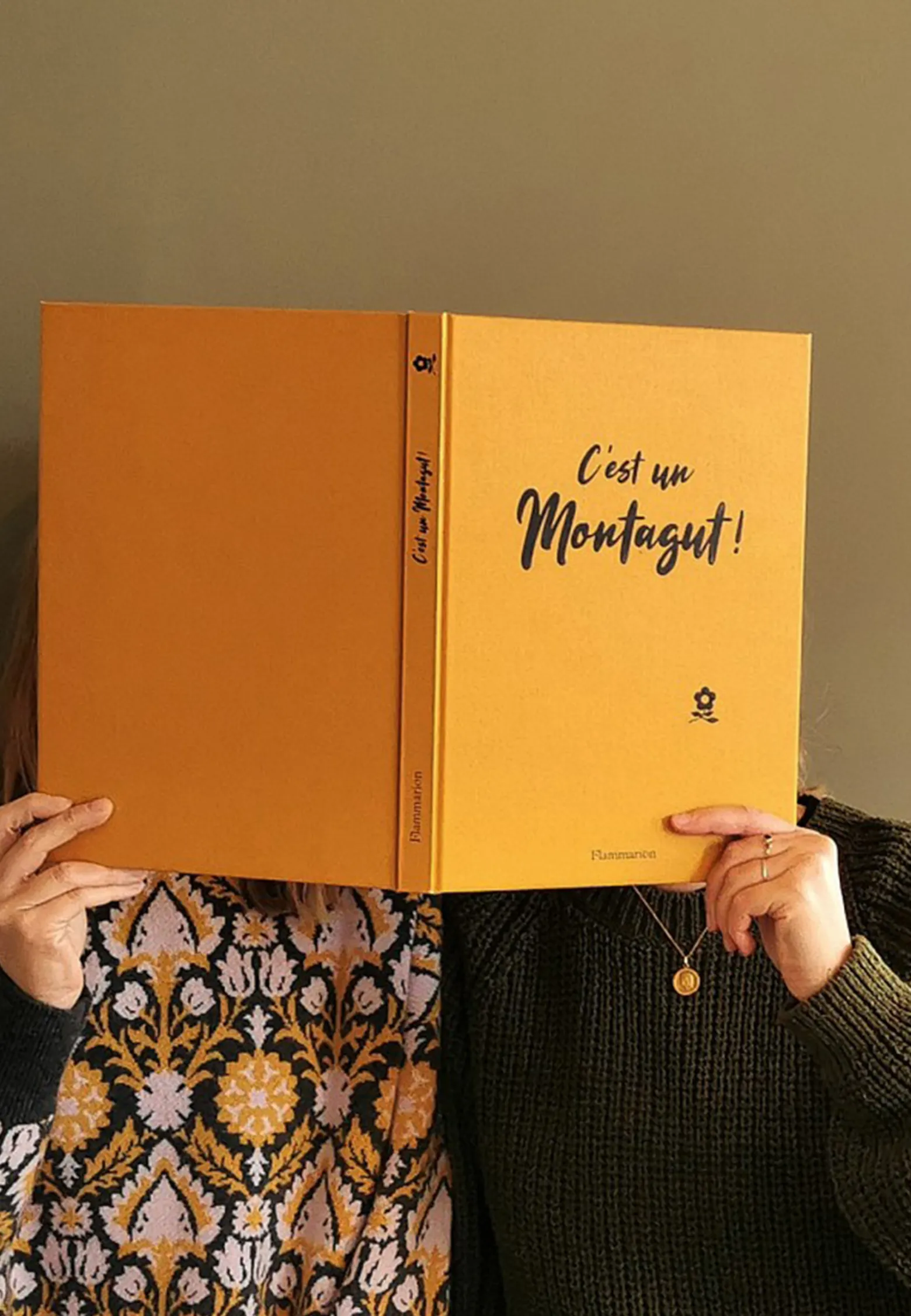 Montagut It's a - the book (french version)
