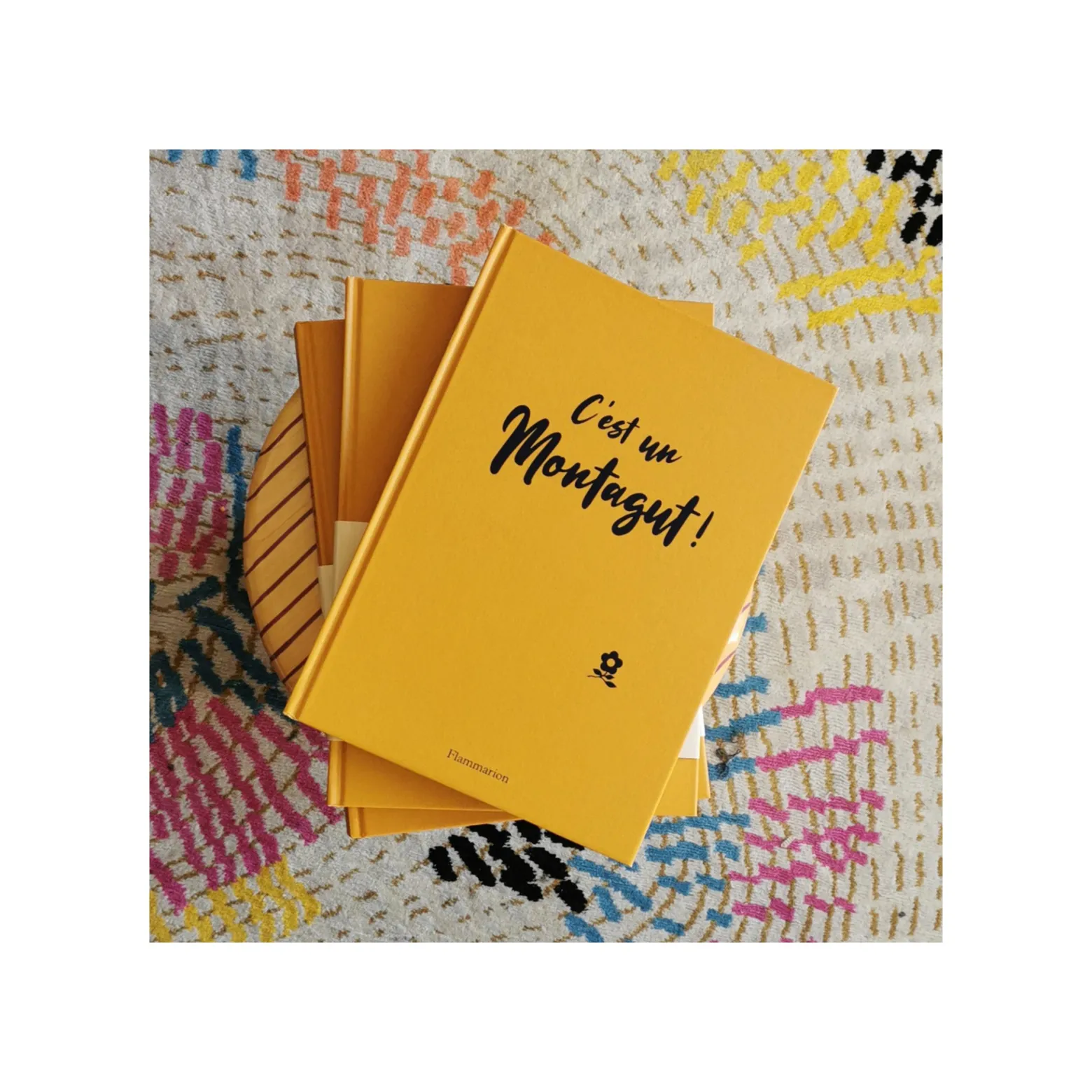 Montagut It's a - the book (french version)
