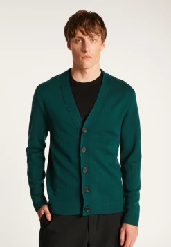 Montagut Merino wool buttoned vest - Ezra