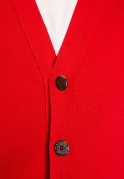 Montagut Merino wool buttoned vest - Ezra