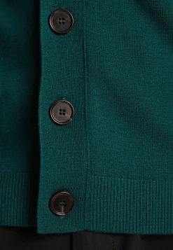 Montagut Merino wool buttoned vest - Ezra