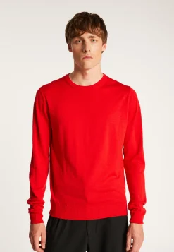 Montagut Merino Wool Crewneck Sweater - Eddie