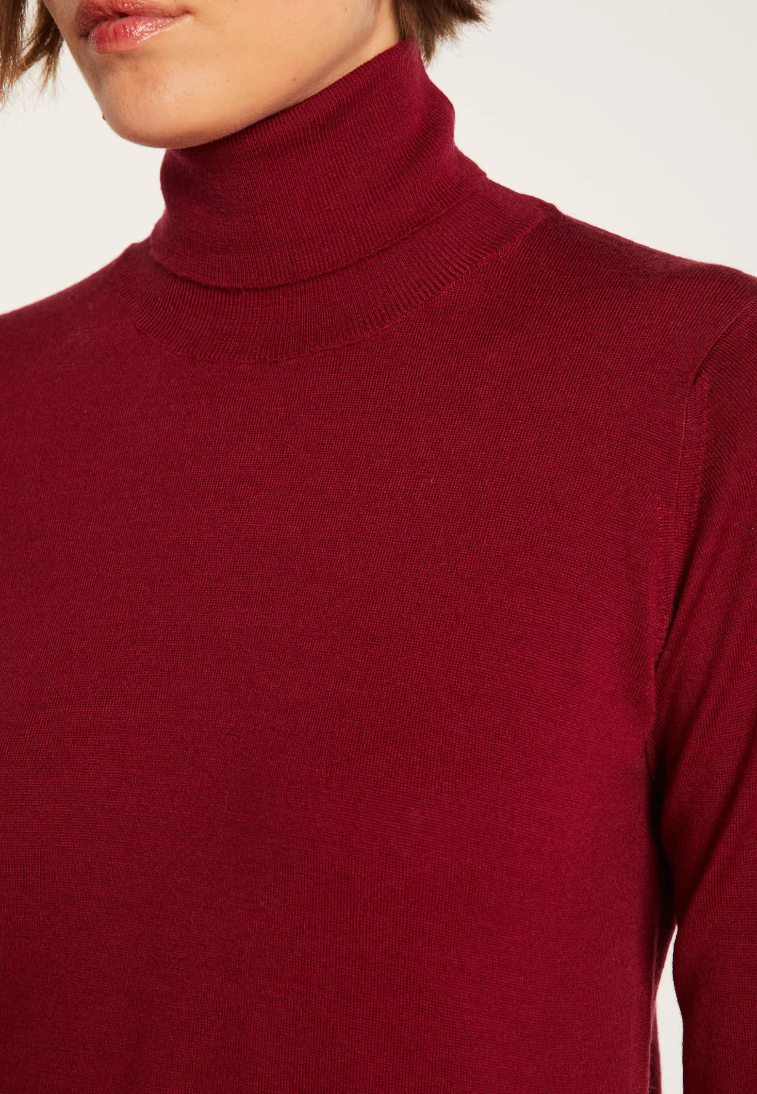 Montagut Polo neck jumper in merino wool - Elisaa