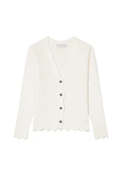 Montagut Technical Cotton Vest - Ludivine
