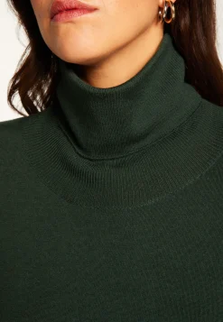Montagut Turtleneck sweater in merino wool - Alisa