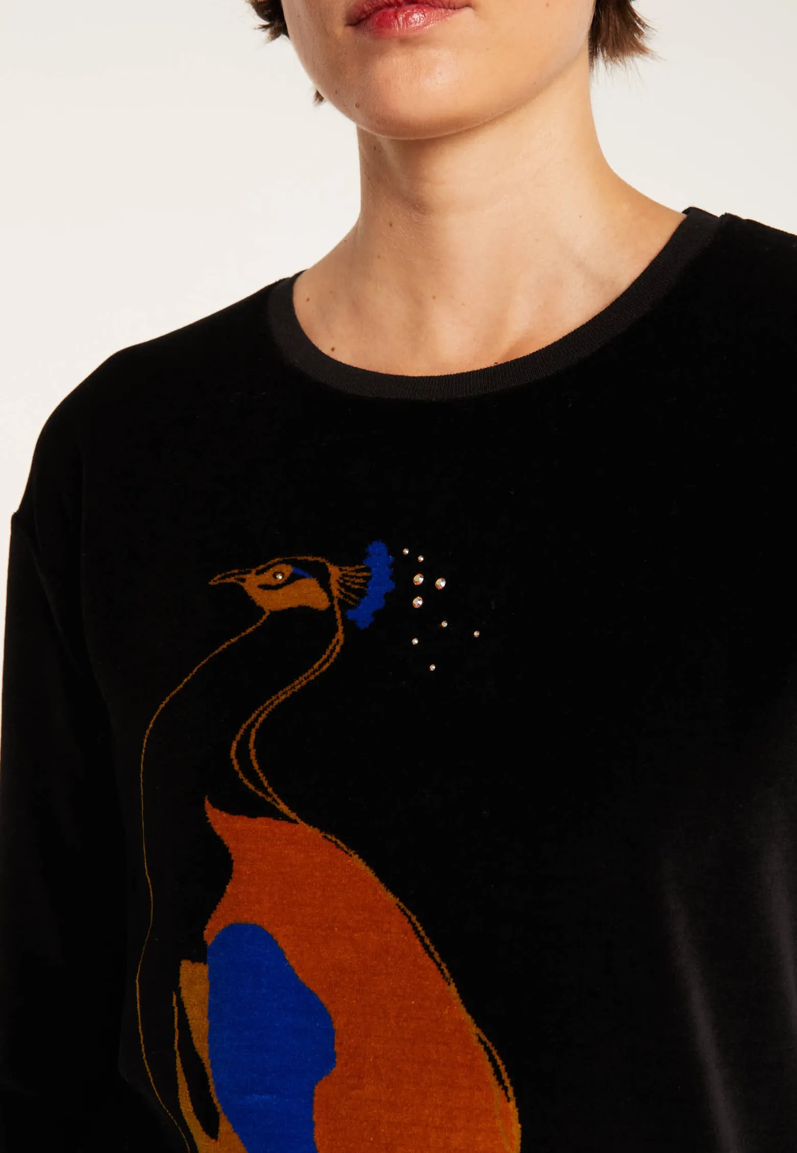 Montagut Velour jumper with peacock - Pavel